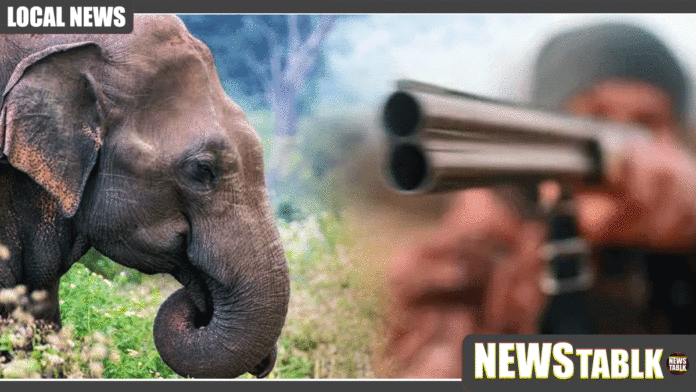 News-Thumb