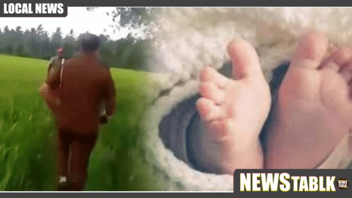 News-Thumb